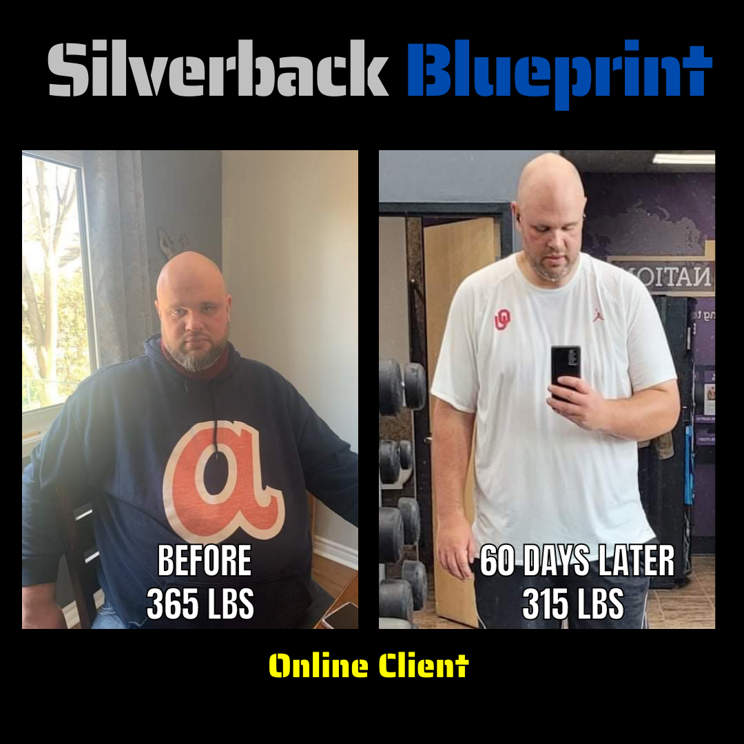 Silverback Blueprint before after Chris C